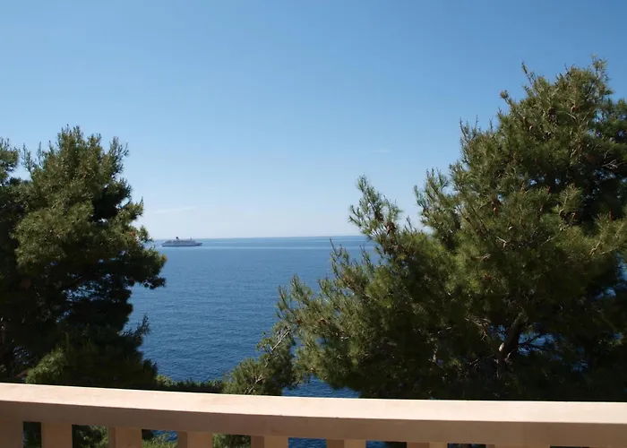 Plavac Mali-4 By Interhome 公寓