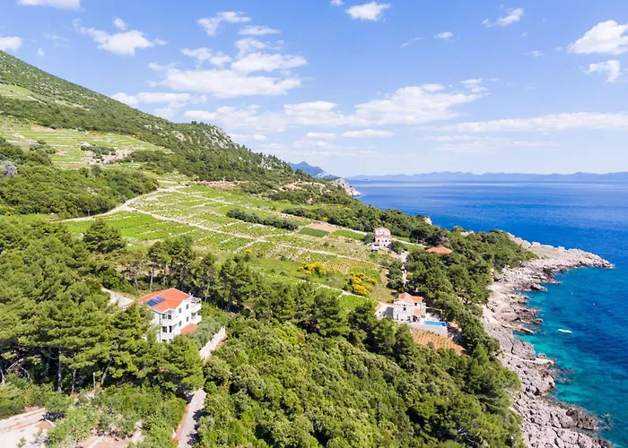 Plavac Mali-4 By Interhome Διαμέρισμα